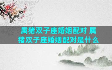 属猪双子座婚姻配对 属猪双子座婚姻配对是什么
